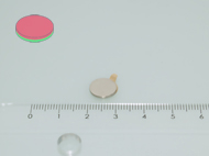 10x1 mm N35 �ntapad�s NEODYM m�gnes korong